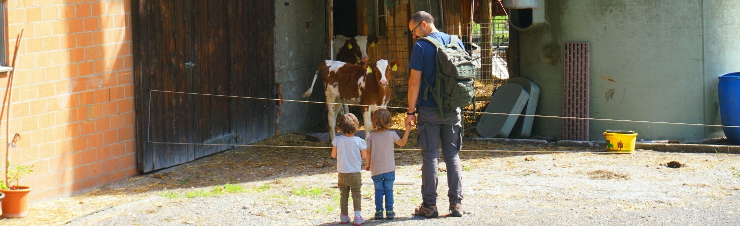 aventuras con niños